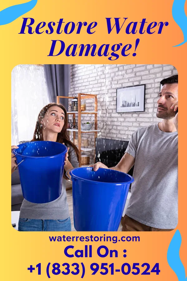 water restoration Premier Water Mitigation Contractors Norris City