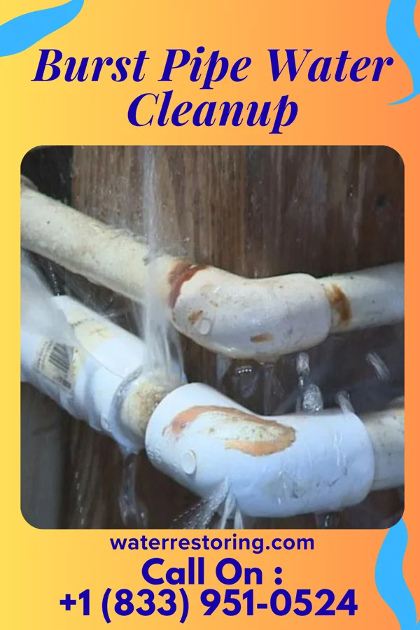 Burst Pipe Water Cleanup in Norris City, IL