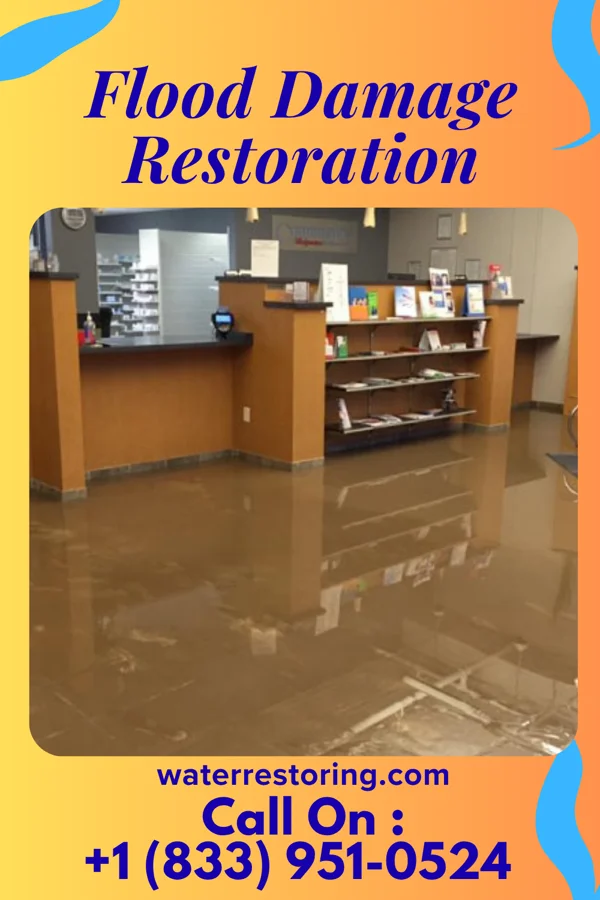 Flood Damage Restoration in Norris City, IL