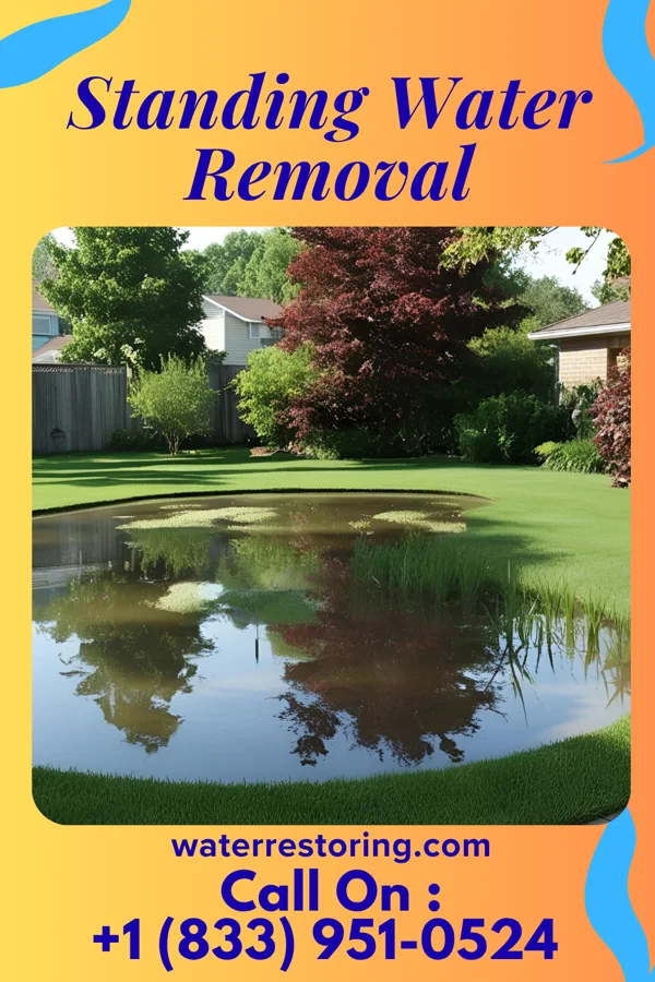 Standing Water Removal in Norris City, IL